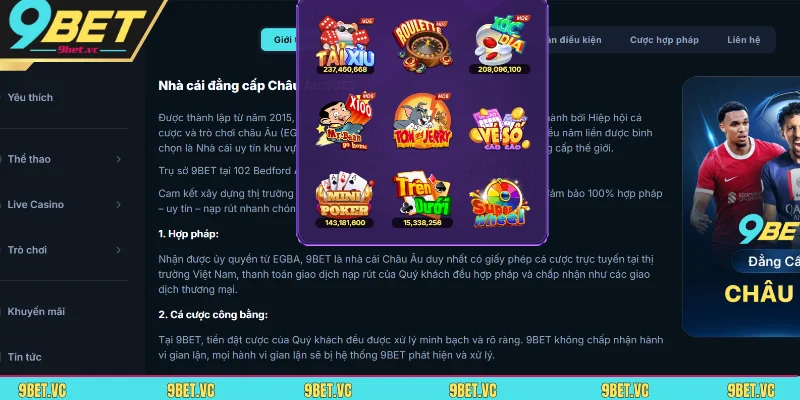 Quy định đảm bảo quyền lợi của thành viên trực tuyến